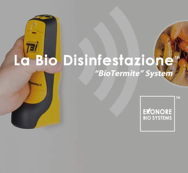 Disinfestazione termiti a milano