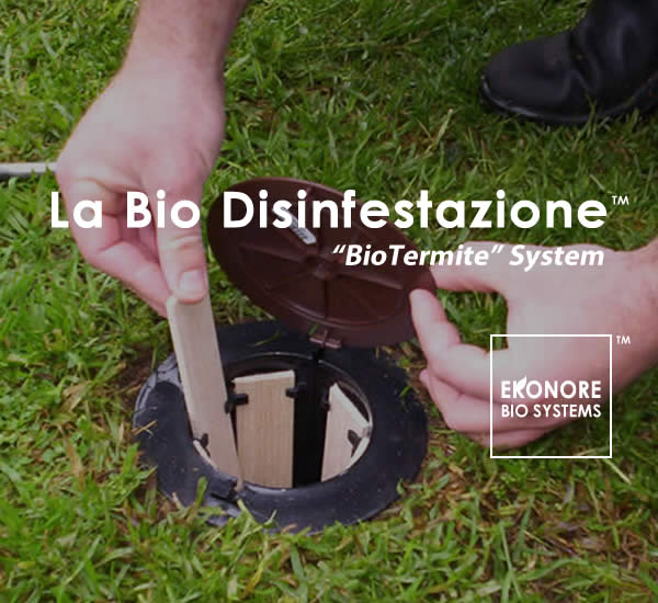 Azienda disinfestazione Milano