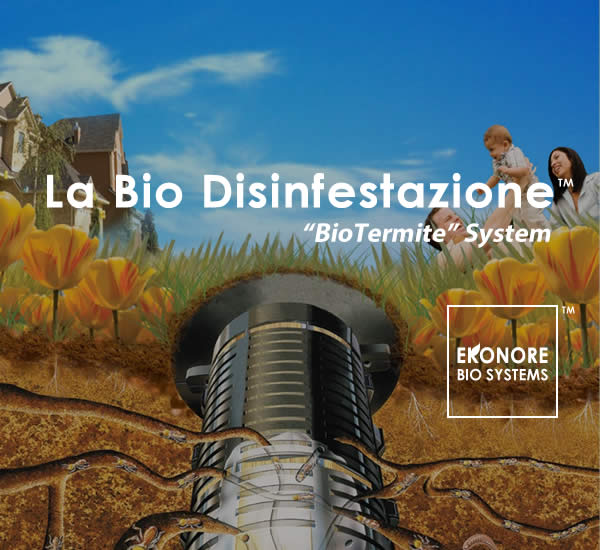 Azienda disinfestazione Milano